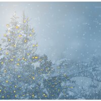 Christmas Fun! - Bath Time Baby Music Lullabies