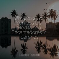 Perdido en El Zen - Música Para Dormir Inspirada En El Espacio & Música para Relaxar Maestro & Meditação Yoga Maestro