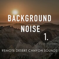 Remote Desert Canyon Sounds, Pt. 5 - Thomas O'Reilly