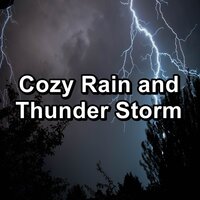 Summer Rain and Thunder Storm Relaxing and Loopable for a 10 Hours Sleep - Deep Sleep Music Experience & Baby Sleep Music & Sleep Tribe