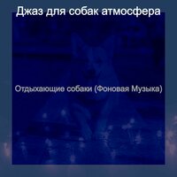 Созерцая (Щенки) - Джаз для собак атмосфера