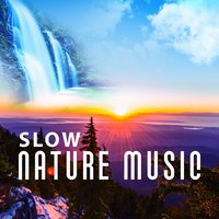 Instrumental Nature Sounds - Natural Life Sounds