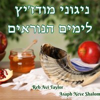 זכרנו לחיים מודז'יץ - Asaph Neve Shalom & Reb Avi Taylor