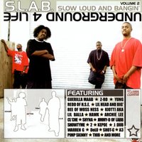When We Pull Out (feat. Trae, Lil’ B & AB) - S.L.A.B.