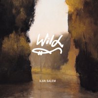 Ann's Tune - Amos Hoffman & Nitai Hershkovits & Ilan Salem & Avishai Cohen & Shai Maestro & Amir Bresler