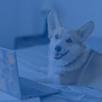 High-class Music for Well Trained Dogs - Sleeping Music For Dogs