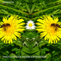 Pan Flute Jazz Roots Dub Riddim - Sensaya