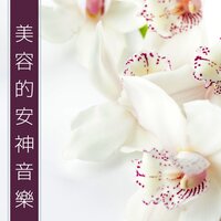 我的理想 - 美容院音樂