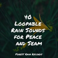 Tin Roof Rain - Rain Sounds Rain & Kinderlieder-Superstar & Rain Spa