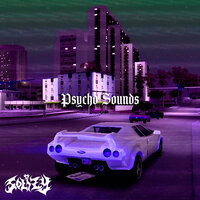 Psycho Sounds (Slowed) - SOLIZY