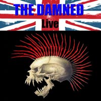Anti-Pope - The Damned