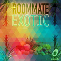Don Don - Roommate
