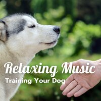 Happy Dog - Dogs Jazz