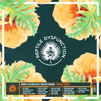 Jaspers Keys - Doorly & Colour Castle & Misingo & Rickie DH