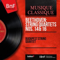 String Quartet No. 16 in F Major, Op. 135: I. Allegretto - Budapest String Quartet & Mischa Schneider & Boris Kroyt & Josef Roisman & Jac Gorodetzky & Budapest String Quartet, Josef Roisman, Jac Gorodetzky, Boris Kroyt, Mischa Schneider & Ludwig van Beethoven