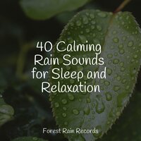 Rain, Drain, Cement, Lawn - Sleep Music System & Meditation & Stress Relief Therapy & Ready Baby Music!