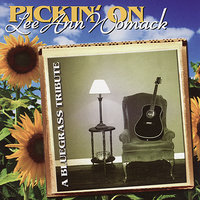 Now You See Me, Now You Don't - Pickin' On Series