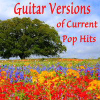 Body Like a Back Road - Steve Petrunak & Guitar Tribute Players