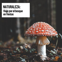 Nature Meditation - Musica relajante & Sonido Del Bosque y Naturaleza & Musica relajante dormir