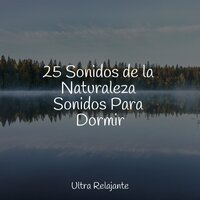 Conectividad - Sons da natureza HD & Canciones de Cuna Relax & Massagem Guru