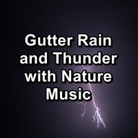 Forest Rain and Thunder in the Rainy Forest To Repeat for 24 Hours - Tracks of Nature & Sounds Of Nature Relaxation & Rain Sounds Nature Collection