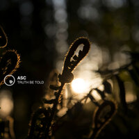 The Machinery Of Night - ASC