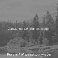 Настроения (Исследовать) - Богатый Музыка для учебы