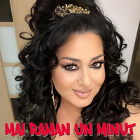 Tiganul si internetul - Luminita Puscas