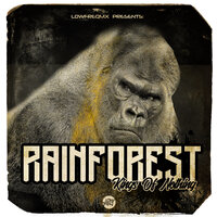 Pragmatism - Rainforest