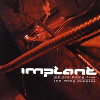 We Are Doing Fine - Implant