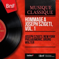 Violin Concerto in D Major, Op. 61: I. Allegro ma non troppo - Joseph Szigeti & Ludwig van Beethoven
