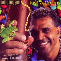 Let Your Spirit Fly - David Hudson