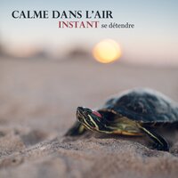 Plus proche de la méditation - Zone de la Musique Relaxante