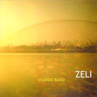 Todos Os Lados - Afroamerica - Zeli Silva