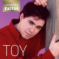 Não Sejas Teimosa - Toy