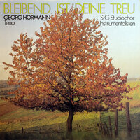 Du gibst das Leben - Gerog Hormann & Schulte & Gerth Studiochor & Margret Birkenfeld