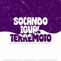 Socando Igual Terremoto - DJ Gui Borges & DJ WS DA ZN & MC Panico