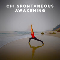 Qi Balance - Chinese Yang Qin Relaxation Man & Chill Out Sounds Collective