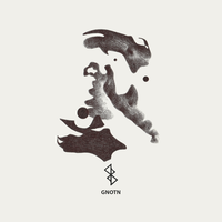 Root 7 - Ntogn & Vermisst