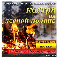Костра В Лесу В Полночь: Звуки Природы - Amadeus