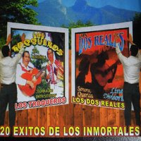 Borracho Entristesido - Los Troqueros
