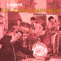 Hey, Pony - Les Chats Sauvages