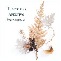 Nuevas Ideas - Fuerza Positiva