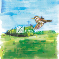 Die Eule - Felix Bernhard Huber & Michael Köhlmeier