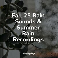 Under Glass - Relaxation & Relaxation Sleep Meditation & Rainfall