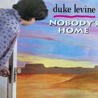 Nobody's Home - Duke Levine