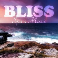 Beauty Spa - Natural Spa Music Consort