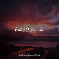 Enlightened Feelings - Meditation Music Club & Hipnose Natureza Sons Coleção & Best Kids Songs