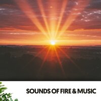 Serenata de aguas sagradas - Dog Relaxation & Canciones Para Bebés Y Música Para Bebé & Brain Timbre