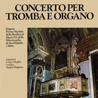 Concerto for 2 Oboes in F Major, Op. 9 No. 3 - Luigi Celeghin & Angelo Riggione & Томазо Альбинони
